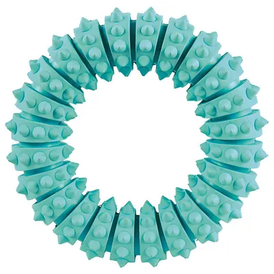 Trixie Denta Fun Ring