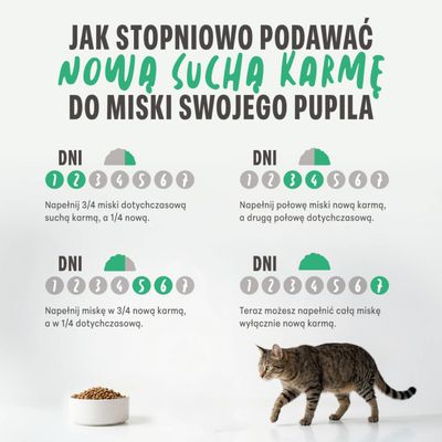 Grafika przedstawia stopniową zmianę karmy na nową suchą karmę przez 7 dni, z proporcjami ilości dla każdego etapu oraz kotem obok miski z suchą karmą.