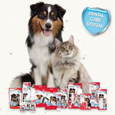 Gel dentifrice beaphar pour chien et chat - 100 g