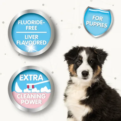 Tekst: fluoride-free, liver flavoured, extra cleaning power, for puppies. Afbeelding van een puppy naast drie blauwe badges met deze claims.