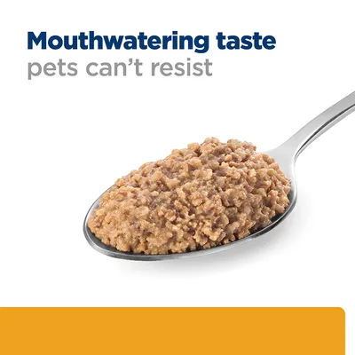 Spoonful of pet food with the text: Mouthwatering taste pets can’t resist.