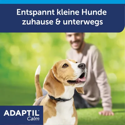 Texte en allemand : « Entspannt kleine Hunde zuhause & unterwegs ». Marque visible : ADAPTIL Calm.
