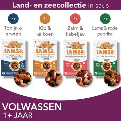 IAMS Advanced Nutrition Adult Cat met Kip