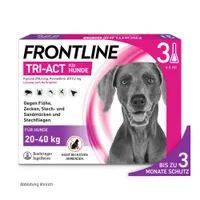 Frontline® TRI-ACT Hunde L (20 - 40 kg) - 3 Pipetten x 4 ml