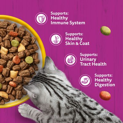 Cat food in tray, alongside text: Supports Healthy Immune System, Healthy Skin & Coat, Urinary Tract Health, Healthy Digestion.