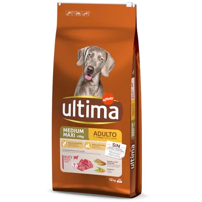 Ultima Medium Maxi Adulto hundefoder til hunde over 10 kg, alder 1-7 år. Ingredienser: oksekød, byg, hvede, grøntsager. Uden kunstige farvestoffer og konserveringsmidler. Pakke 12 kg.