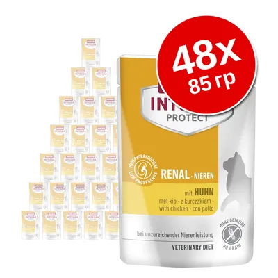 Упаковка Animonda Integra Protect Renal с курицей, 48×85 г. Видны надписи: 'phosphorreduziert', 'RENAL NIEREN', 'mit HUHN', 'ohne getreide', 'veterinary diet'.