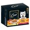 Cesar Selektion Fleisch und Gemüse in Gelee Sparpaket: 24 x 100 g