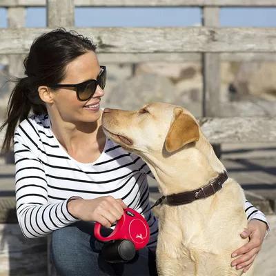 Kvinna håller ett rött Flexi-hundkoppel medan en labrador tittar på henne.