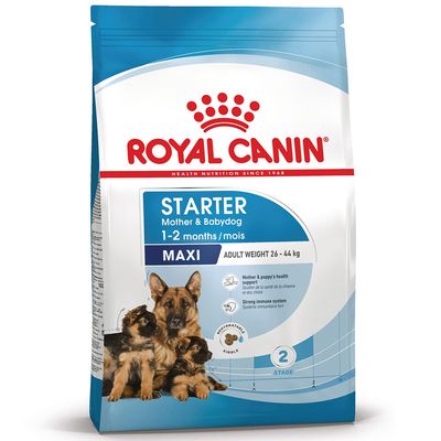 ROYAL CANIN Starter Mother & Babydog MAXI 1–2 months kutyatáp csomag, német juhászkutya kölykökkel, visszanedvesíthető tápszemcse, erős immunrendszer, egészség támogatása