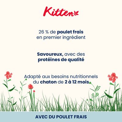 Almo Nature Holistic Kitten poulet, riz pour chaton