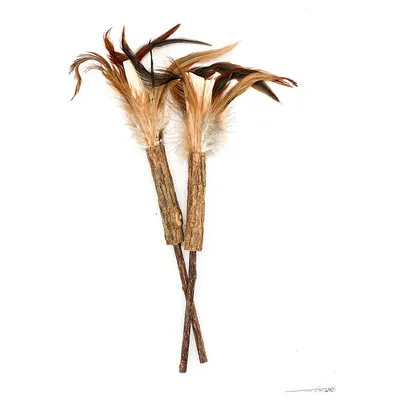 Two wooden play rods with brown and white feathers at the ends.