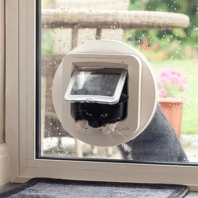 SureFlap katteluke med chip