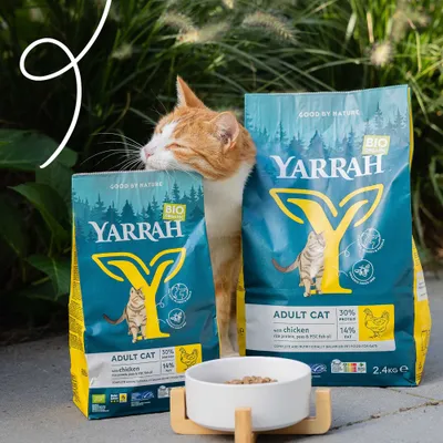 Yarrah Bio Organic Hrană uscată pentru pisici adulte cu pui, 30% proteină, 14% grăsime, două pachete și un bol de hrană ilustrate.