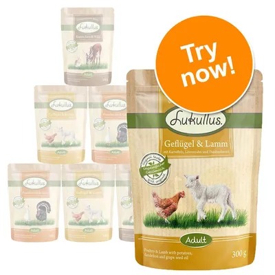 Lukullus Adult wet dog food pouches, visible flavours include Geflügel & Lamm and Kaninchen & Wild, 300g packs. Large orange circle with white text: Try now!
