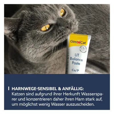 GimCat UT Balance Paste für Katzen. Text: Harnwege-sensibel & anfällig. Katzen konzentrieren ihren Harn stark, um möglichst wenig Wasser auszuscheiden.