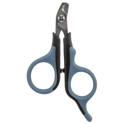 Nail scissors with blue-black handles and stainless steel blades, suitable for precise cutting of animal nails.