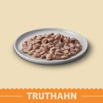 Portion Nassfutter mit Fleischstücken auf weißem Teller, unten im Bild steht groß 'Truthahn'.