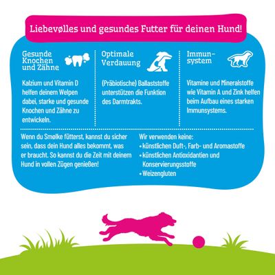 Liebevolles und gesundes Futter für deinen Hund: unterstützt Knochen, Verdauung und Immunsystem. Ohne künstliche Duft-, Farb-, Aromastoffe, Antioxidantien, Konservierungsstoffe, Weizengluten.