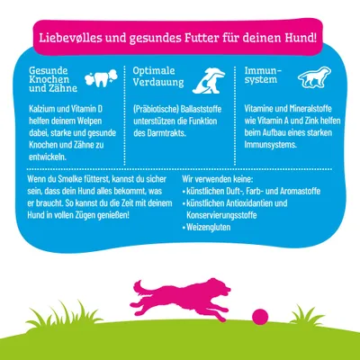 Liebevolles und gesundes Futter für deinen Hund: unterstützt Knochen, Verdauung und Immunsystem. Ohne künstliche Duft-, Farb-, Aromastoffe, Antioxidantien, Konservierungsstoffe, Weizengluten.