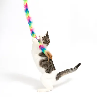 Котка играе с цветна играчка пръчка с пера. Продуктът показва интерактивна употреба за домашни любимци.