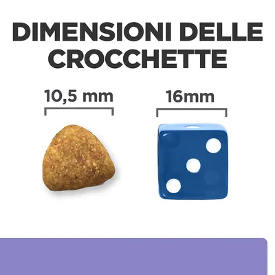 Dimensioni delle crocchette: confronto tra una crocchetta da 10,5 mm e un dado blu da 16 mm. Testo visibile: 'DIMENSIONI DELLE CROCCHETTE', '10,5 mm', '16 mm'.