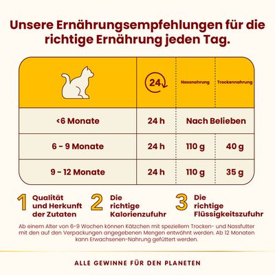 Ernährungsempfehlungen für Katzen: <6 Monate 24h Nassfutter, nach Belieben Trockenfutter; 6-9 Monate 110g Nassfutter, 40g Trockenfutter; 9-12 Monate 110g Nassfutter, 35g Trockenfutter.