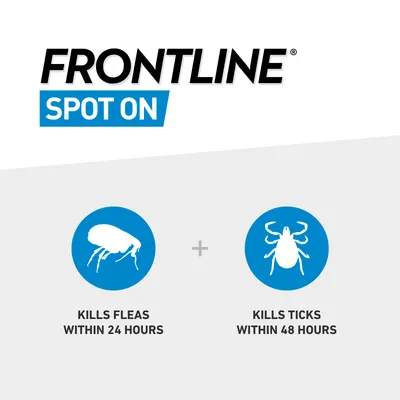 Frontline Spot On kills fleas within 24 hours and kills ticks within 48 hours, as shown by icons and text in the image.