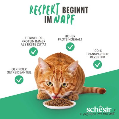 Schesir Adult Maintenance mit Huhn