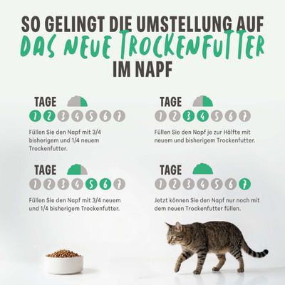 Schesir Adult Maintenance mit Huhn