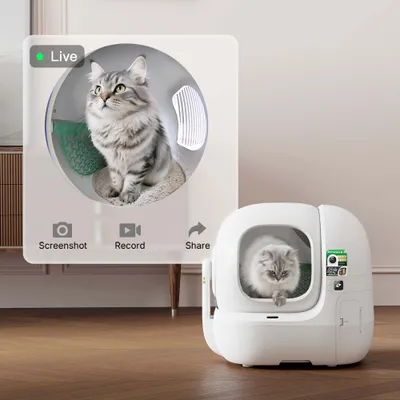 Katzenkamera zeigt Live-Übertragung einer Katze in einer weißen, automatischen Katzentoilette. Symbole für Screenshot, Aufnahme und Teilen sichtbar. Katzenkamera zeigt Live-Übertragung einer Katze in einer weißen, automatischen Katzentoilette. Symbole für Screenshot, Aufnahme und Teilen sichtbar.