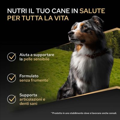 Supporta la pelle sensibile, senza grano, favorisce articolazioni e denti sani. Nota: Prodotto in uno stabilimento che lavora anche cereali.