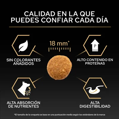 Tamaño de croqueta 18 mm, sin colorantes, alto contenido de proteínas, alta absorción de nutrientes y alta digestibilidad. Calidad en la que puede confiar cada día. Tamaño de croqueta 18 mm, sin colorantes, alto contenido de proteínas, alta absorción de nutrientes y alta digestibilidad. Calidad en la que puede confiar cada día.