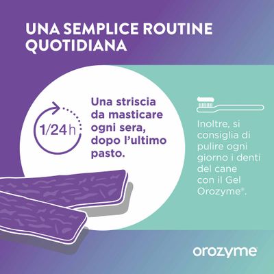 Consiglio: somministrare uno snack da masticare ogni sera dopo l’ultimo pasto. Si raccomanda inoltre la pulizia quotidiana dei denti con Orozyme Gel.