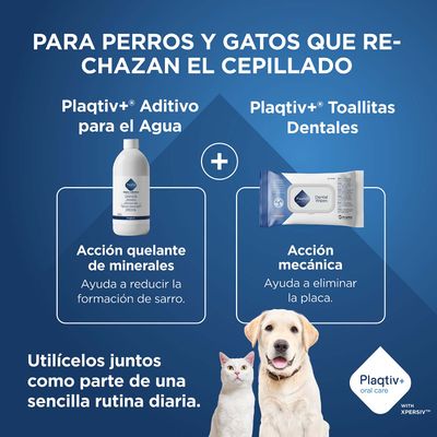 Plaqtiv+ aditivo para el agua y toallitas dentales para perros y gatos, reduce la formación de sarro y elimina la placa. Úsalos juntos como una rutina diaria sencilla.