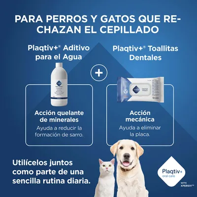 Plaqtiv+ aditivo para el agua y toallitas dentales para perros y gatos, reduce la formación de sarro y elimina la placa. Úsalos juntos como una rutina diaria sencilla.