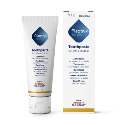 Plaqitv+ oral care makes dental hygiene easier. Daily brushing is standard, but there are alternatives for fussy pets. Plaqtiv+ logo bottom right.