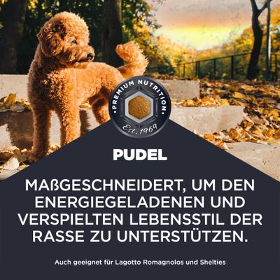 Premium Nutrition Est. 1969. Pudel. Maßgeschneidert, um den energiegeladenen und verspielten Lebensstil der Rasse zu unterstützen. Auch geeignet für Lagotto Romagnolos und Shelties.