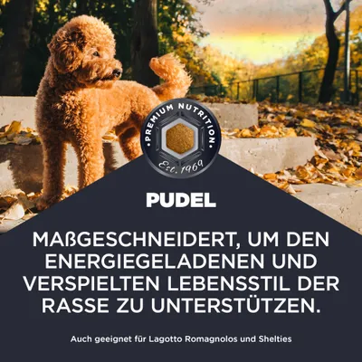 Premium Nutrition Est. 1969. Pudel. Maßgeschneidert, um den energiegeladenen und verspielten Lebensstil der Rasse zu unterstützen. Auch geeignet für Lagotto Romagnolos und Shelties. Premium Nutrition Est. 1969. Pudel. Maßgeschneidert, um den energiegeladenen und verspielten Lebensstil der Rasse zu unterstützen. Auch geeignet für Lagotto Romagnolos und Shelties.