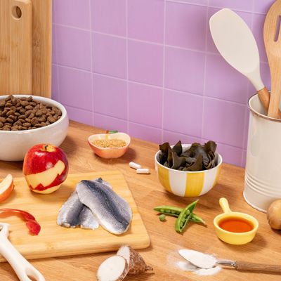 Ingredients for pet food: dry food, apple, fish fillets, pea pod, algae, oil, capsules, linseed, cassava, potato, and flour on a wooden table.