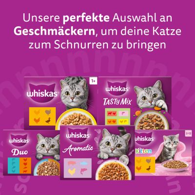 Whiskas Auswahl: Tasty Mix, Duo, Aromatic, Kitten. Perfekte Geschmacksvielfalt für Katzen, verschiedene Sorten und Altersgruppen sichtbar.