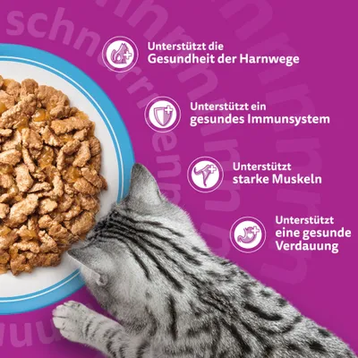 Unterstützt die Gesundheit der Harnwege, ein gesundes Immunsystem, starke Muskeln und eine gesunde Verdauung.