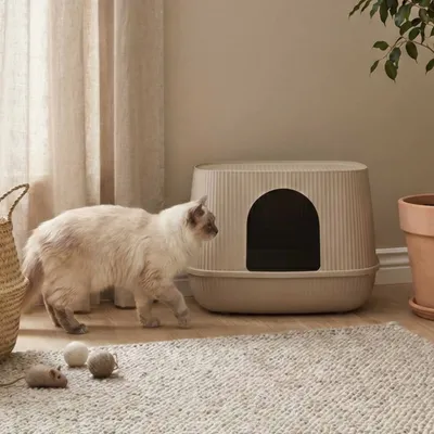 Savic Katzentoilette Moona - mocha