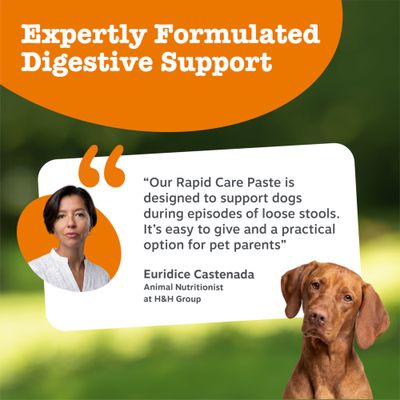 Citat av Euridice Castenada: Rapid Care Paste stödjer hundar vid diarré, är enkel att ge och ett praktiskt alternativ för djurägare. Expertutvecklat stöd för matsmältningen.