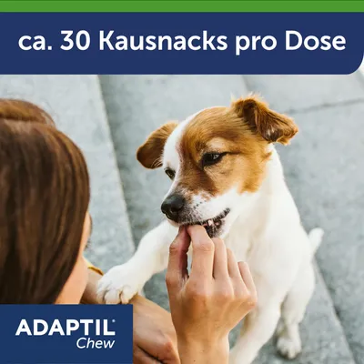 ADAPTIL Chew. Ca. 30 Kausnacks pro Dose, Hund wird mit Snack gefüttert.