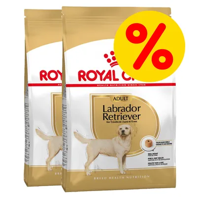 Royal Canin Adult Labrador Retriever Trockenfutter, speziell für Hunde ab 15 Monaten. Zwei Packungen mit gelbem Prozentzeichen für Rabatt.