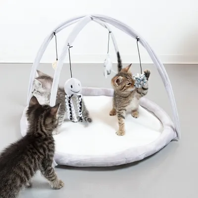 Speelmat met grijze boog en hangend speelgoed, waaronder pluchen figuur, veer en glitterbal. Drie kittens spelen op de mat. Speelmat met grijze boog en hangend speelgoed, waaronder pluchen figuur, veer en glitterbal. Drie kittens spelen op de mat.
