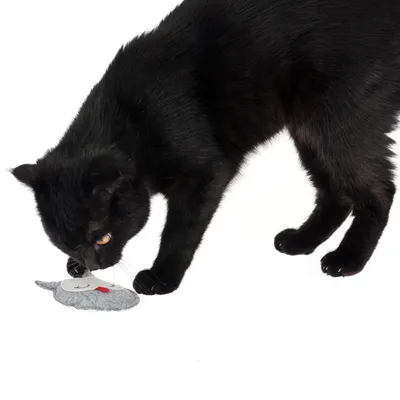 Jouet TIAKI Chouette en feutrine avec de la menthe à chat - 1 jouet