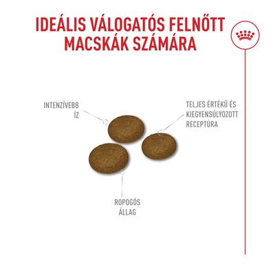 10+2 kg ingyen! 12 kg Royal Canin Fussy Exigent - 10 + 2 kg ingyen!