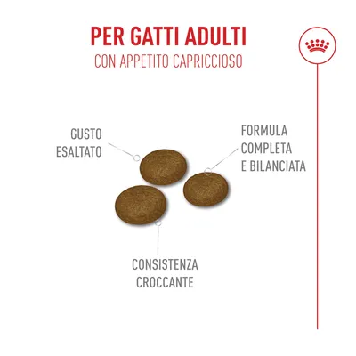 Royal Canin Fussy Exigent - 10 kg + 2 kg GRATIS!